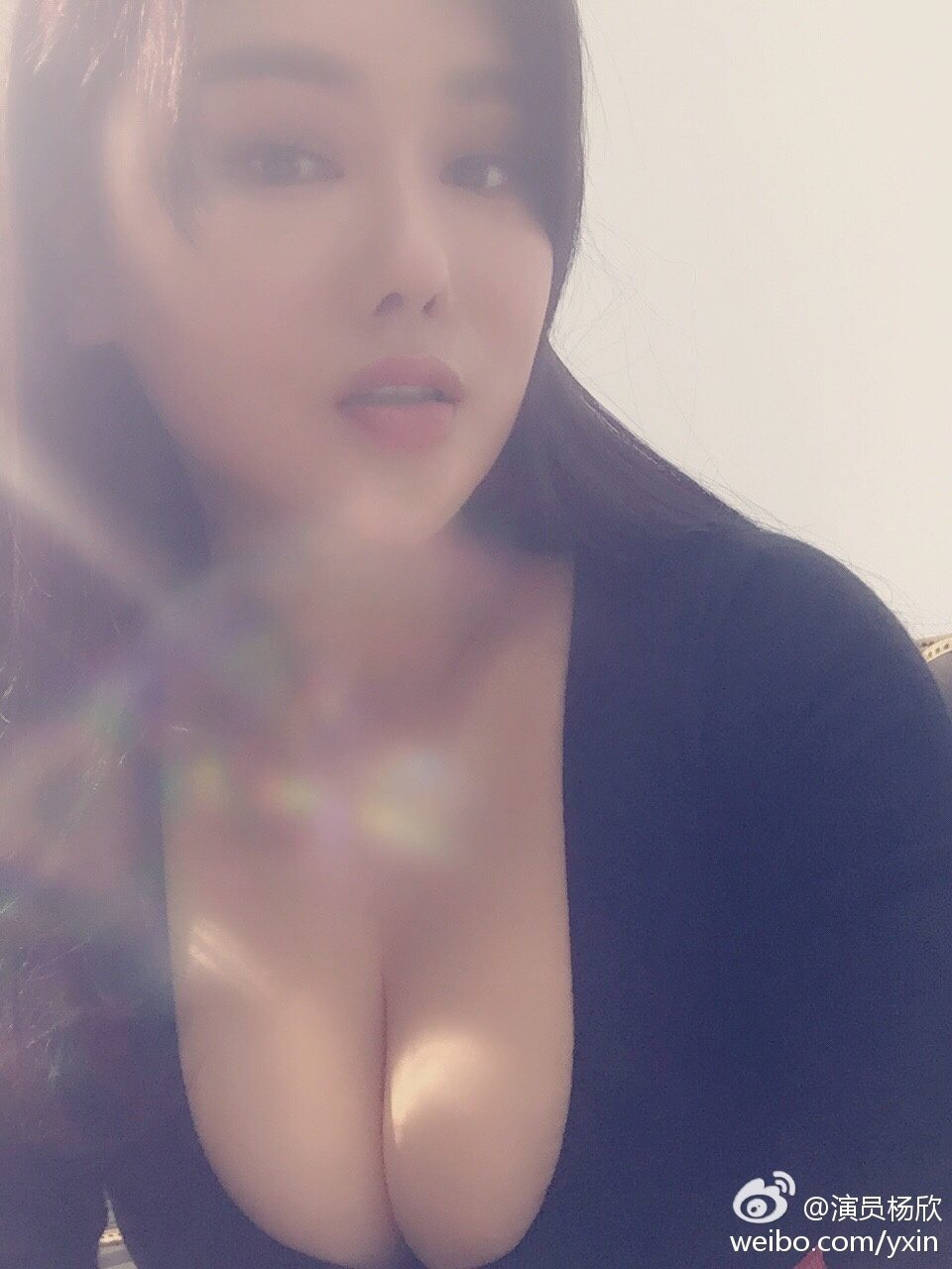 Xin Yang HD画像/フォトギャラリーダウンロード #1550750