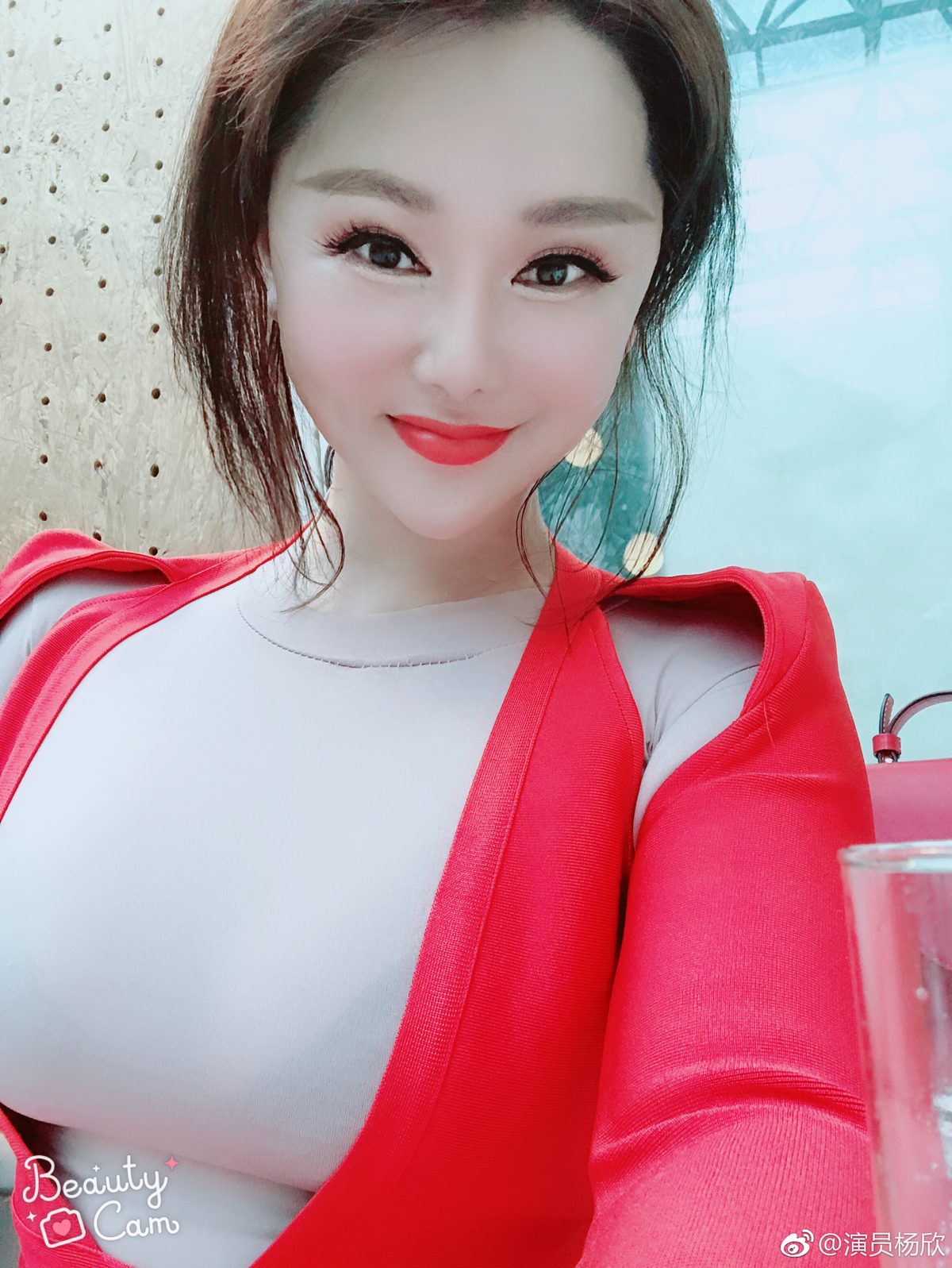 Xin Yang HD画像/フォトギャラリーダウンロード #1551042