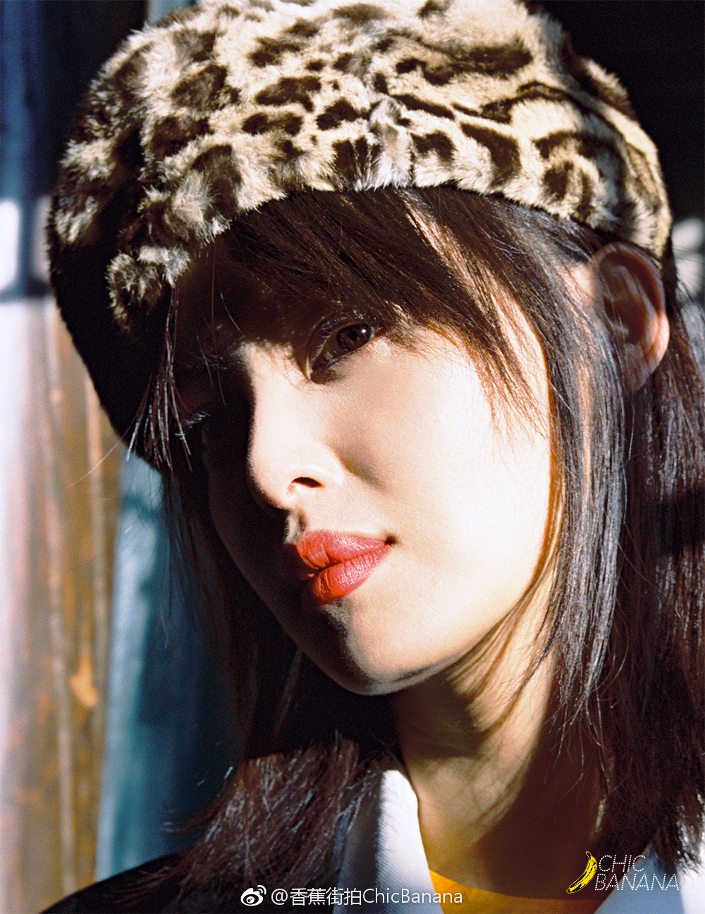 辛芷蕾 高清写真/照片下载 #3468564