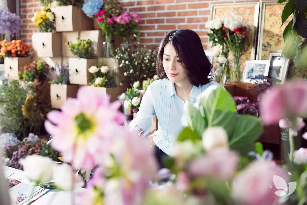 高圆圆 高清写真/照片下载 #670066