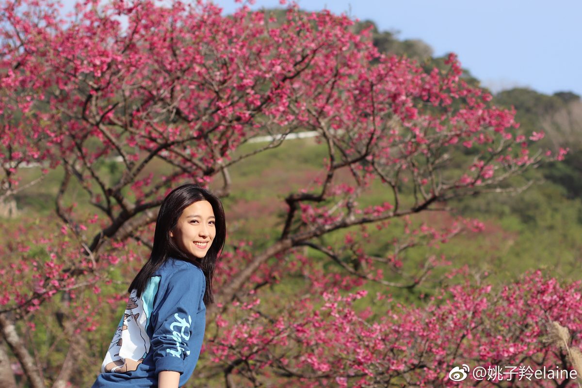 Elaine Yiu HD Images/Photo Gallery Download #1378946