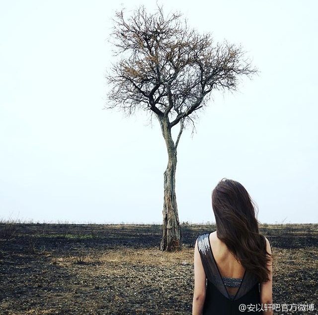 安以轩 高清写真/照片下载 #1792368