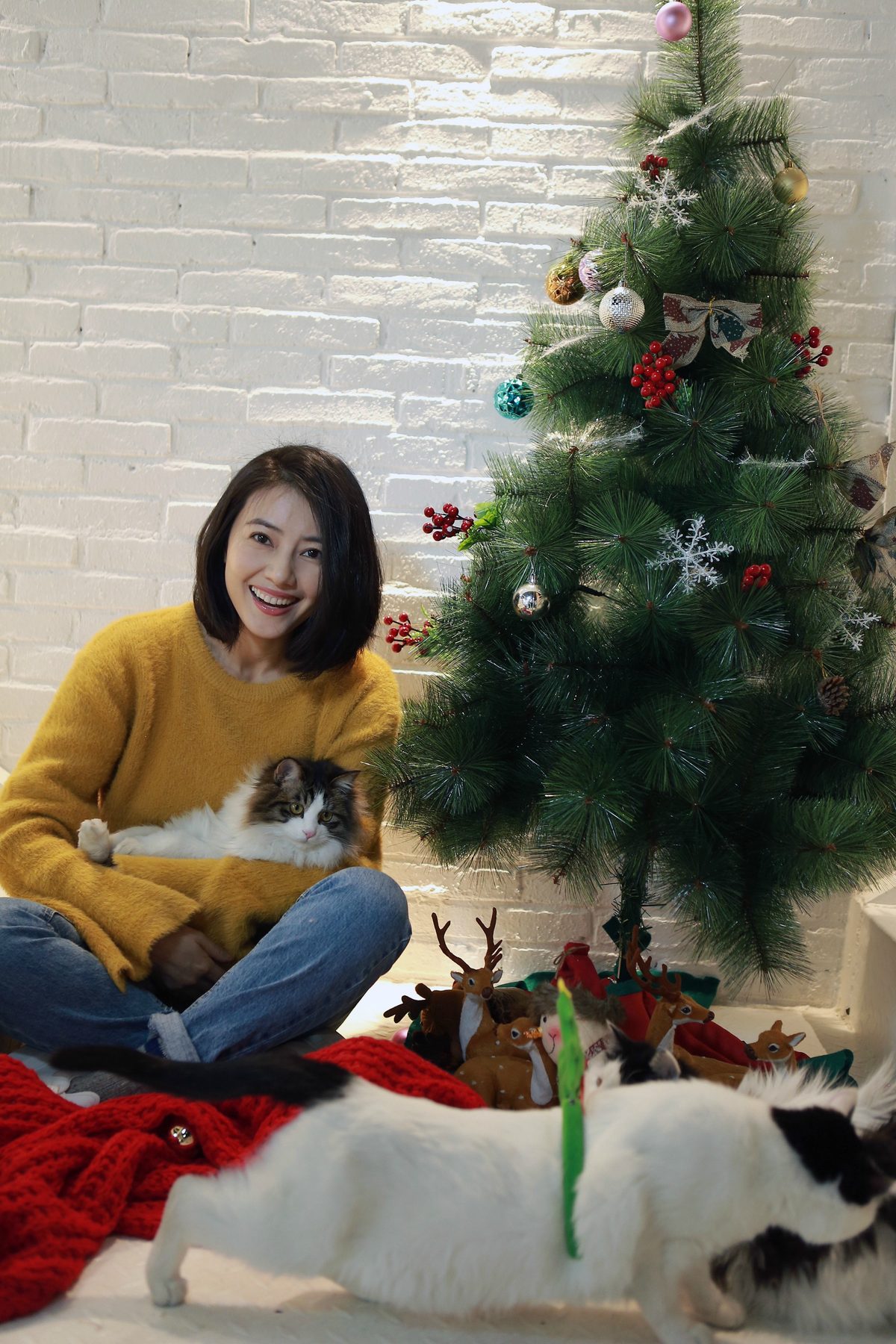 Yuanyuan Gao HD Images/Photo Gallery Download #661298