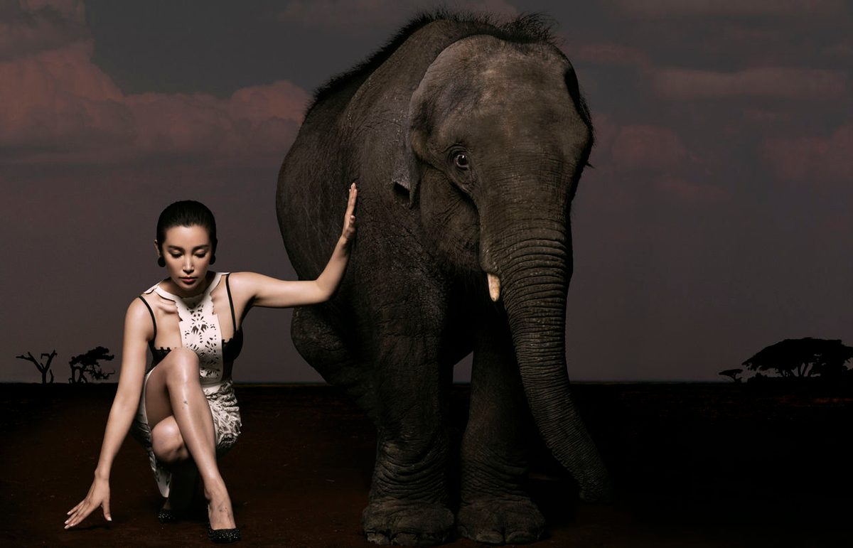 Bingbing Li HD Images/Photo Gallery Download #1402291