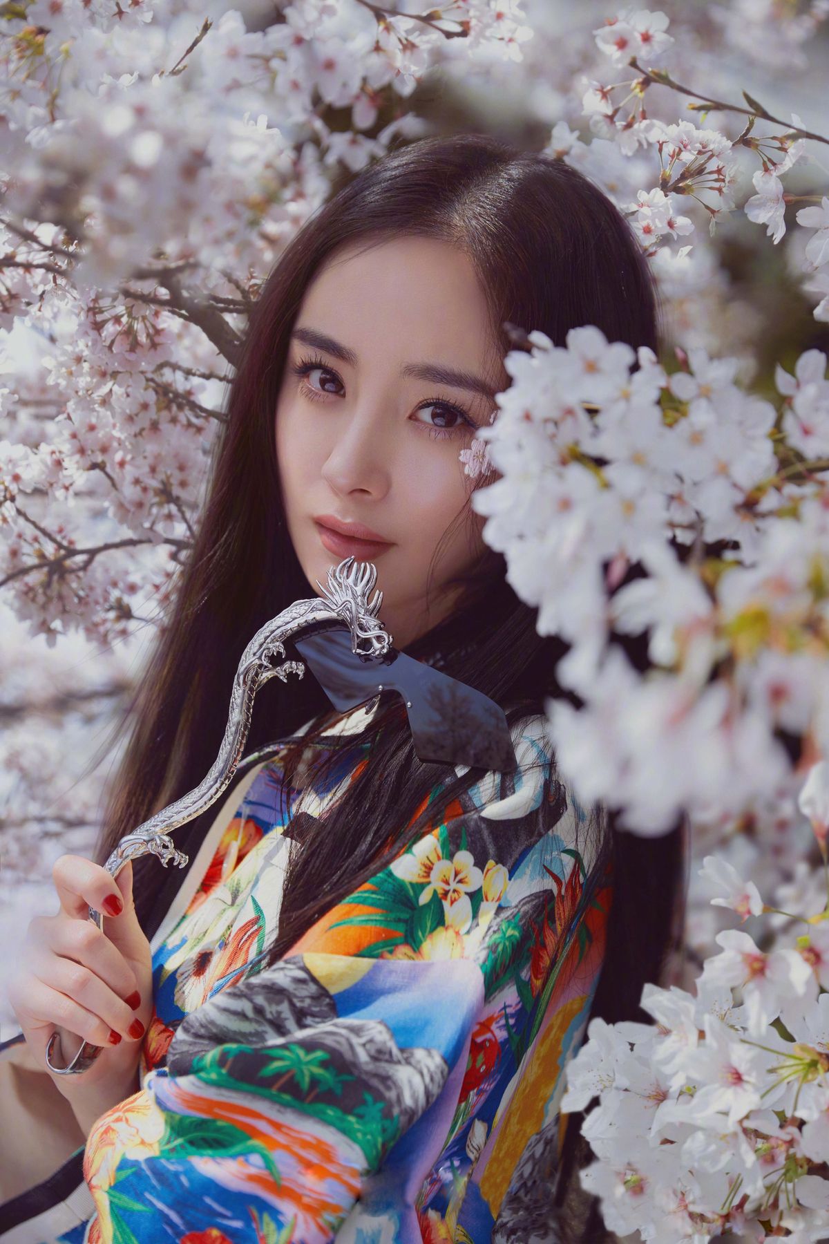 Mi Yang HD Images/Photo Gallery Download #1525069