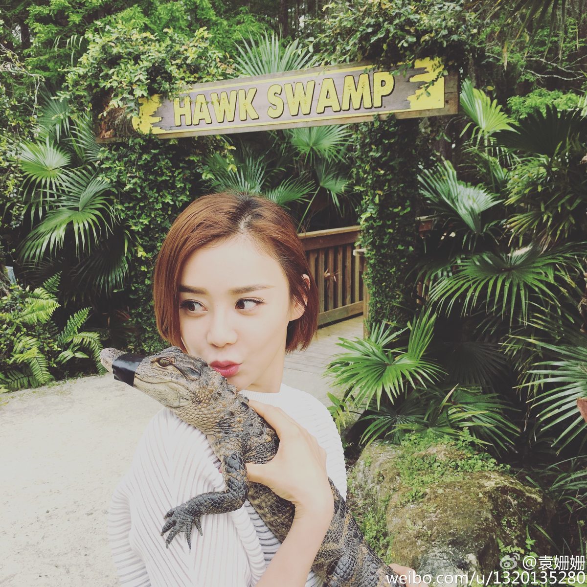 Shanshan Yuan HD Images/Photo Gallery Download #2026583