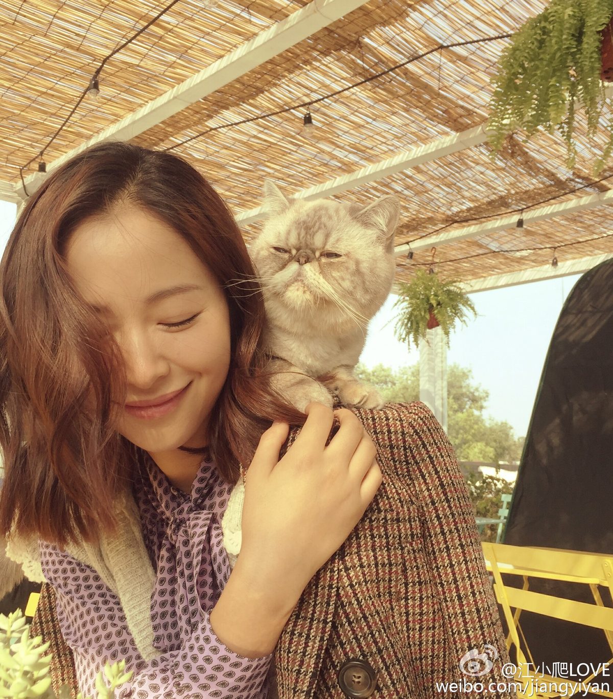 Yiyan Jiang HD Images/Photo Gallery Download #1891375