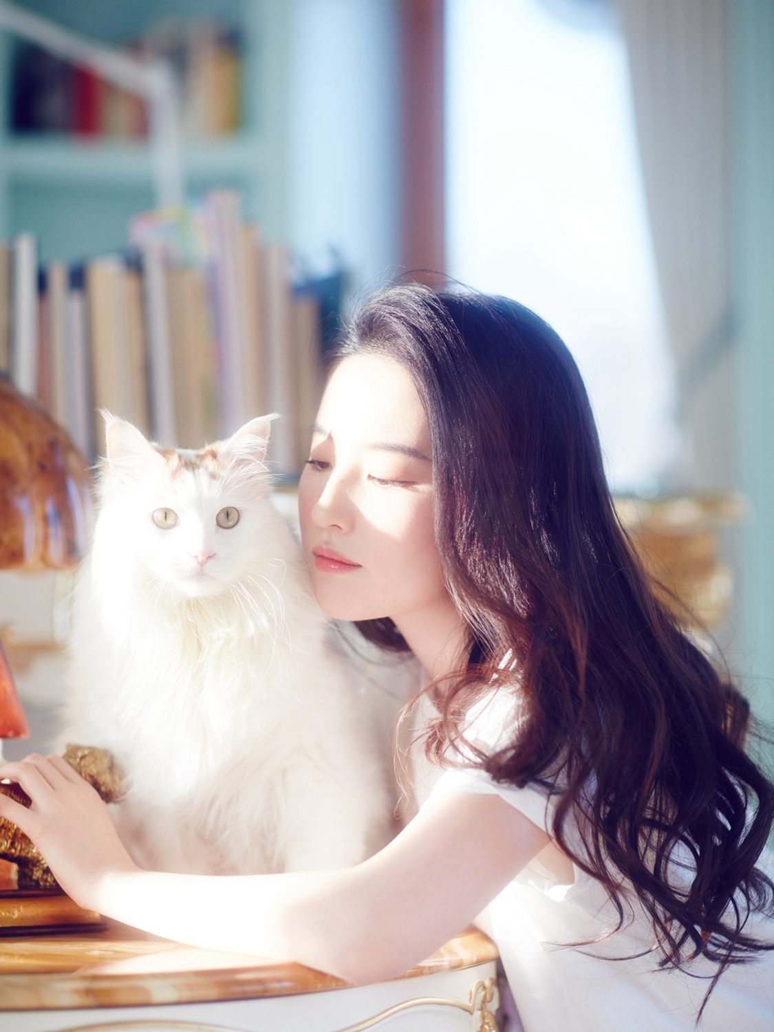 유역비 HD 이미지/사진 갤러리 다운로드 #6692409