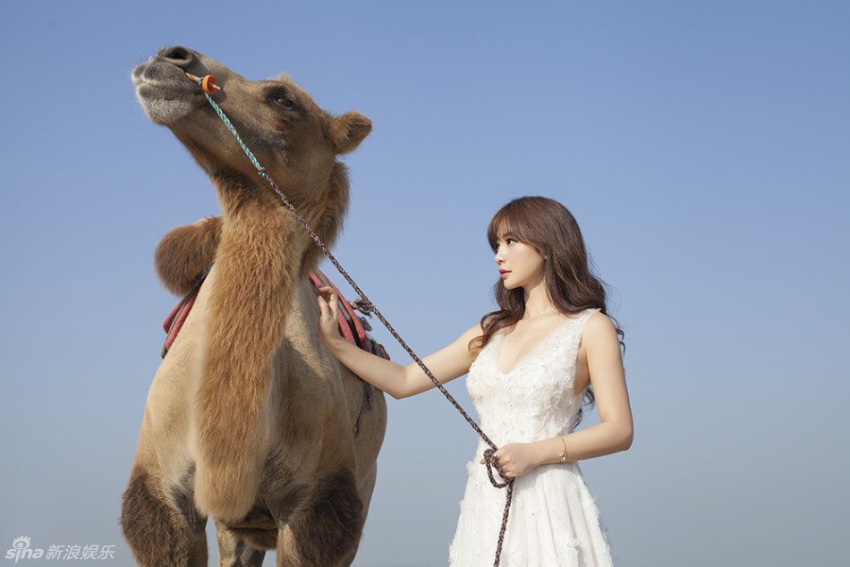 Yan Liu HD Images/Photo Gallery Download #1976926