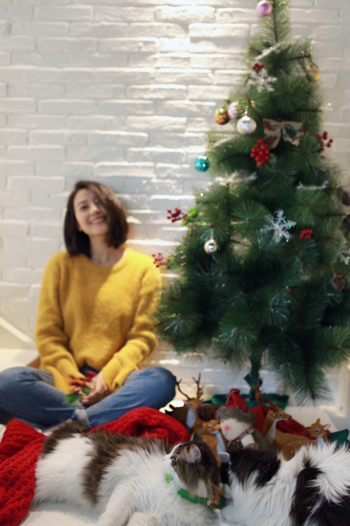 高圆圆 高清写真/照片下载 #669719