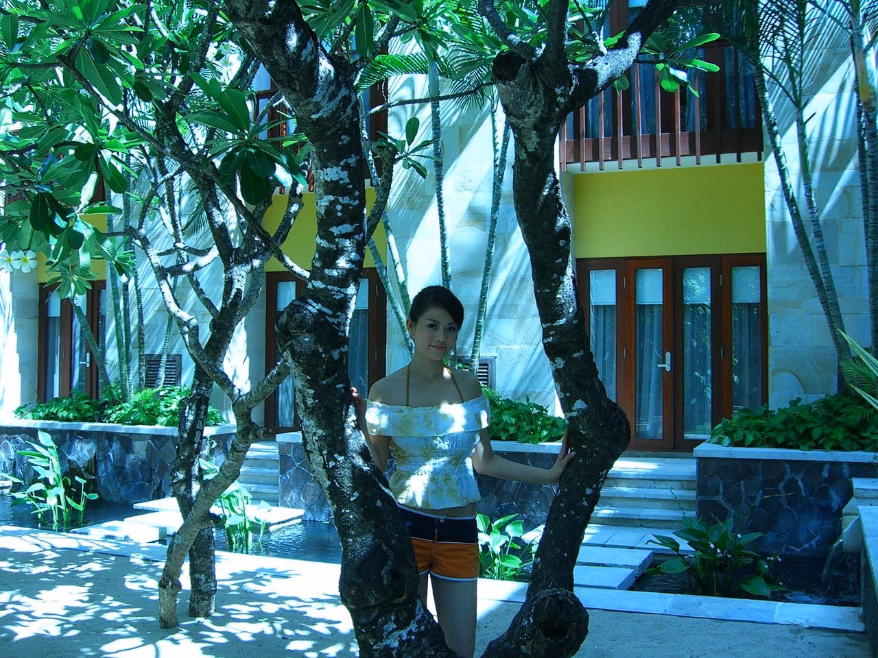 刘香慈 高清写真/照片下载 #3323112