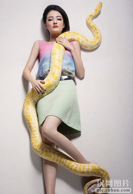 徐璐 高清写真/照片下载 #3417439