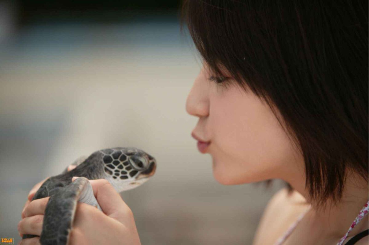 Masami Nagasawa HD Images/Photo Gallery Download #9330799