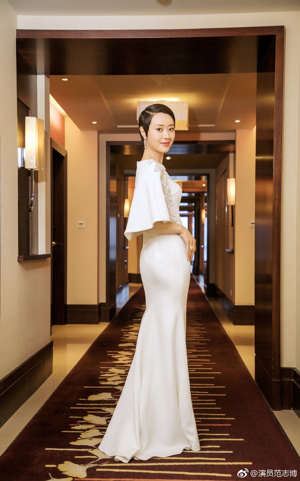 Zhibo Fan HD Images/Photo Gallery Download #1744313