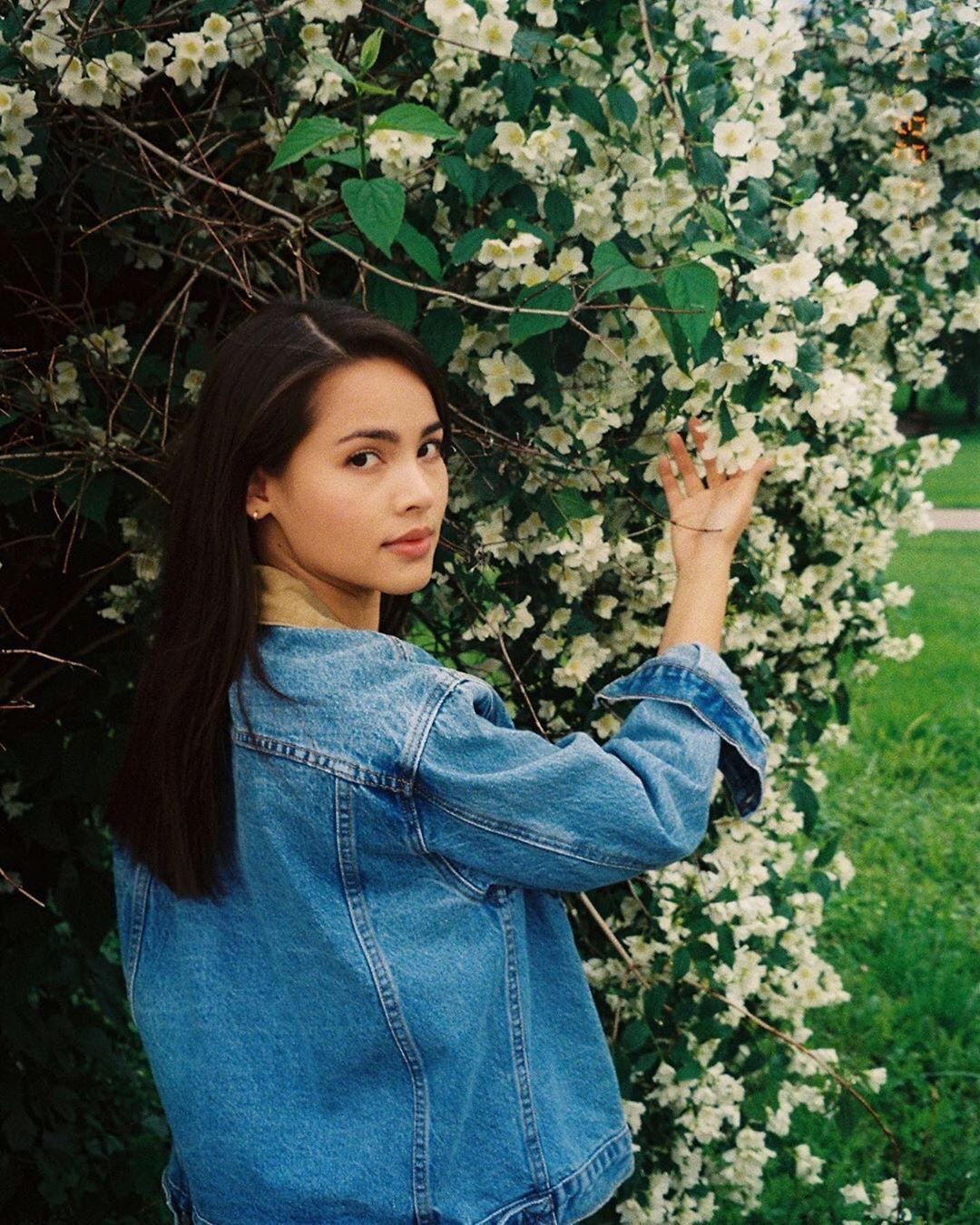Urassaya Sperbund HD Images/Photo Gallery Download #6200697
