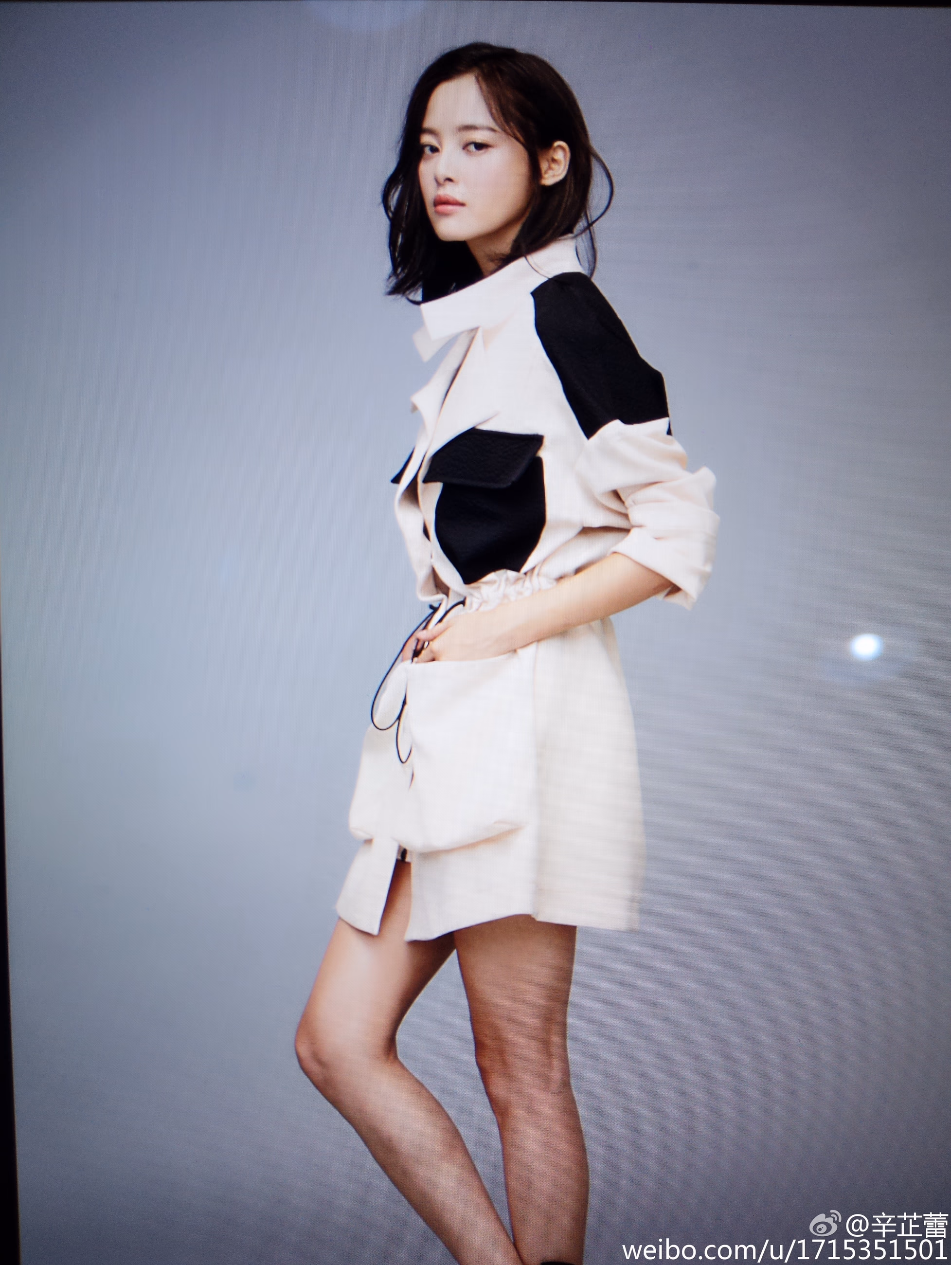 辛芷蕾 高清写真/照片下载 #3446190