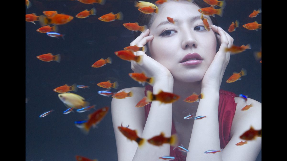 나가사와 마사미 HD 이미지/사진 갤러리 다운로드 #1789243