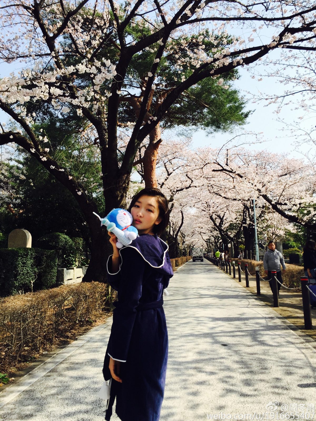 周冬雨 高清写真/照片下载 #1910853