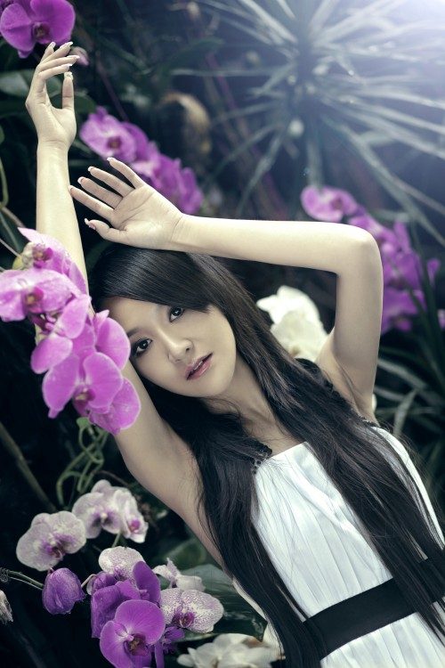 Yao Fu HD Images/Photo Gallery Download #7076701