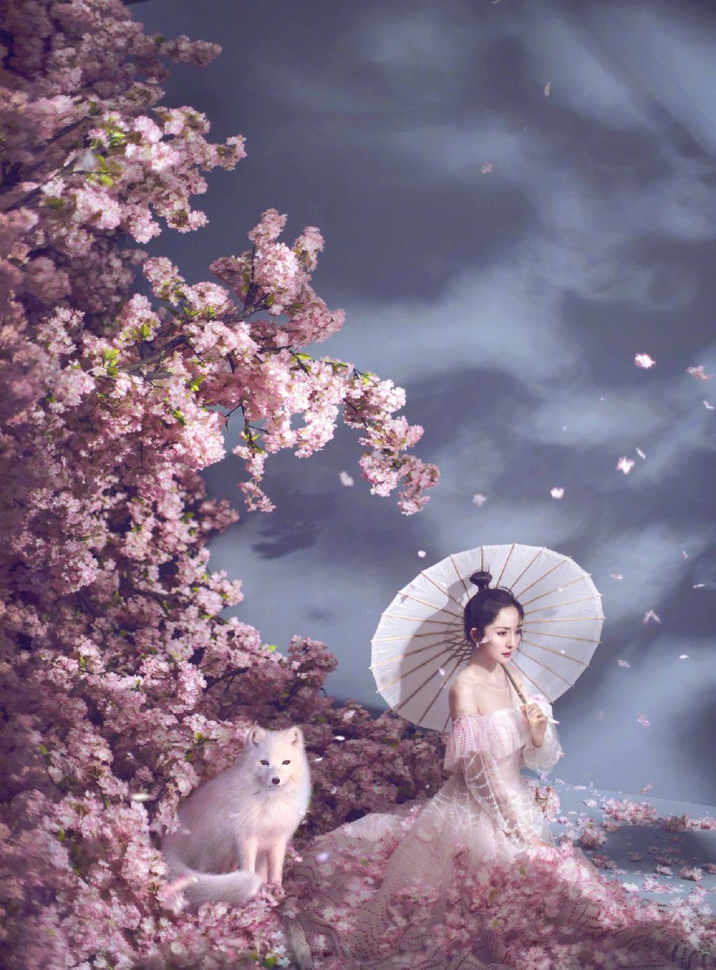 Mi Yang HD Images/Photo Gallery Download #1491875