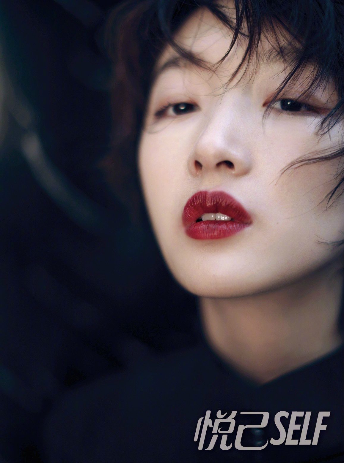 Dongyu Zhou HD Images/Photo Gallery Download #1907546