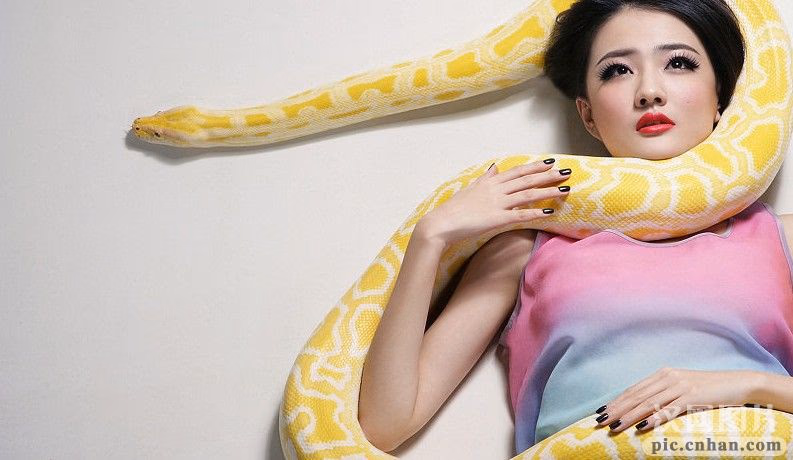 徐璐 高清写真/照片下载 #3417352