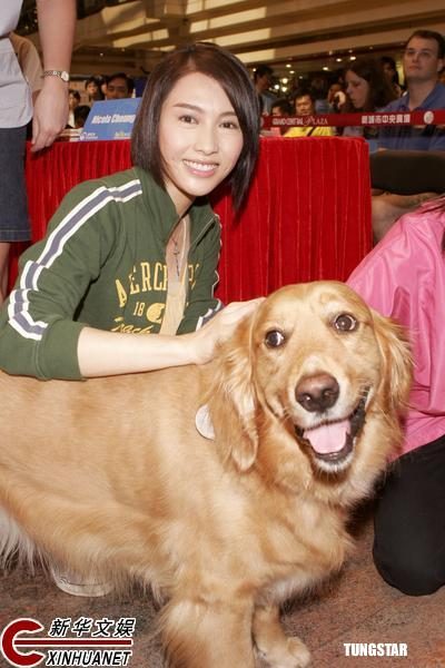 Gigi Lai HD Images/Photo Gallery Download #755183