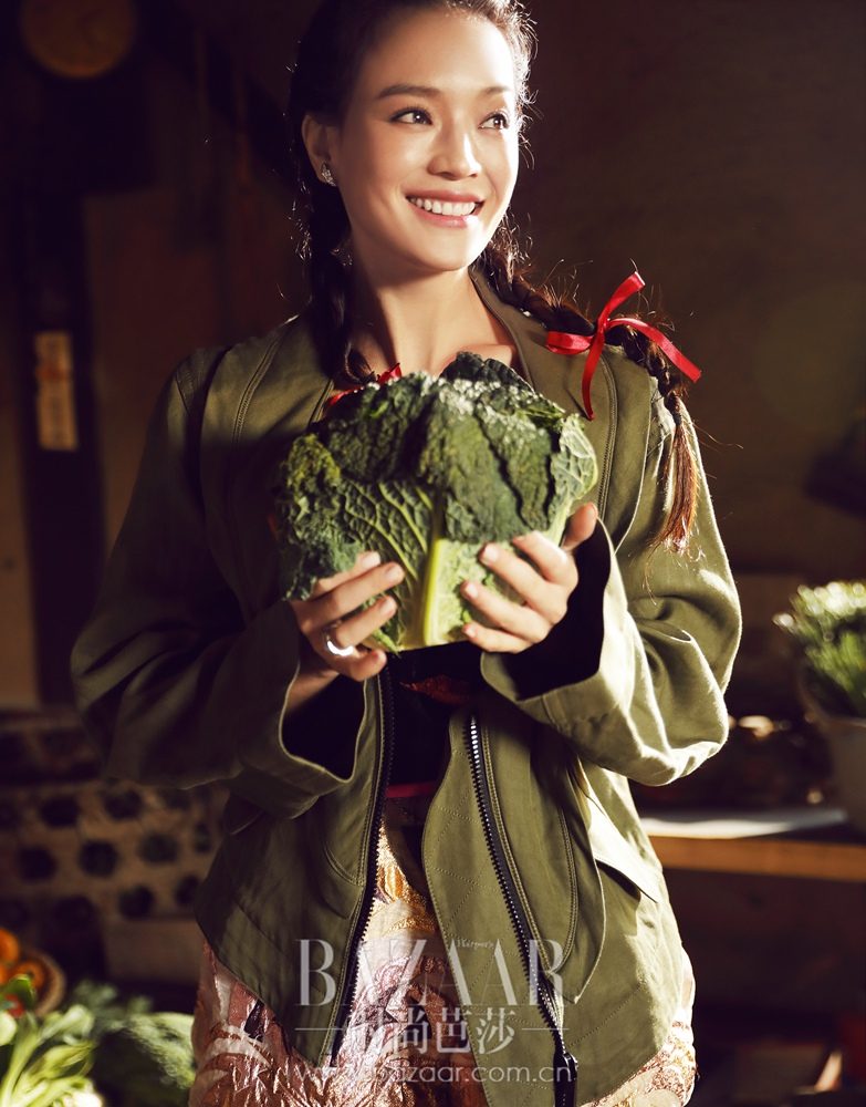 Shu Qi HD Images/Photo Gallery Download #6723062
